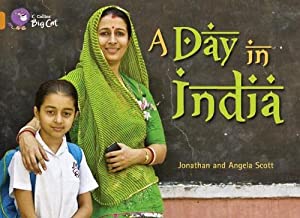 BIG CAT AMERICAN - A Day In India Pb Orange