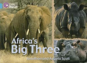 BIG CAT AMERICAN - Africas Big Three Pb Turquoise