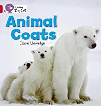 BIG CAT AMERICAN - Animal Coats Workbook Red A