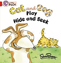 BIG CAT AMERICAN - Cat And Dog Play Hide And Seek Workbook Pb Red A