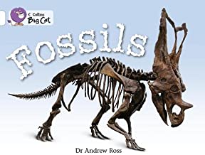 BIG CAT AMERICAN - Fossils Workbook White