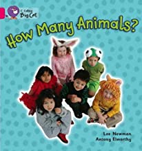 BIG CAT AMERICAN - How Many Animals? Workbook Pb Pink A