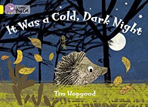 BIG CAT AMERICAN - It Was A Cold Dark Night Workbook Pb Yellow