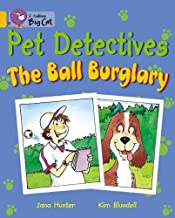 BIG CAT AMERICAN - Pet Detectives The Ball Burglary Workbook Gold