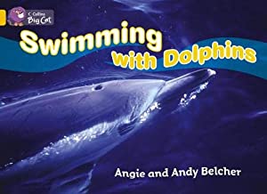 BIG CAT AMERICAN - Swimming With Dolphins