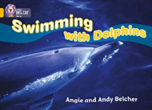 BIG CAT AMERICAN - Swimming With Dolphins Pb Gold