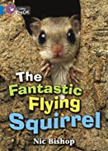 BIG CAT AMERICAN - The Fantastic Flying Squirrel Pb Blue