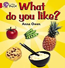 BIG CAT AMERICAN - What Do You Like Workbook Pb Red B