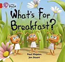 BIG CAT AMERICAN - Whats For Breakfast Workbook Pb Red B