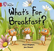 BIG CAT AMERICAN - Whats For Breakfast Workbook Pb Red B