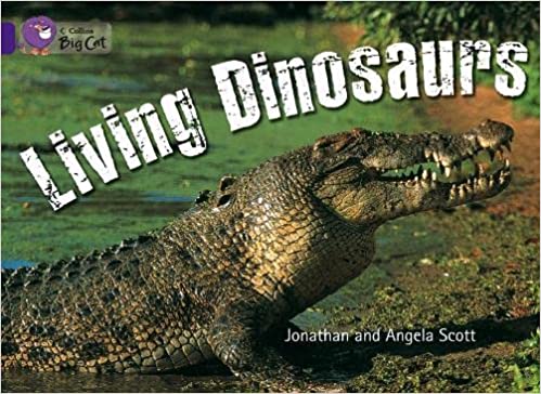 Big Cat - Living Dinosaurs Workbook Purple