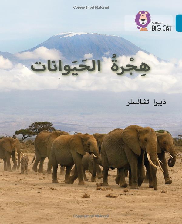 Big Cat Arabic - Animal Migration