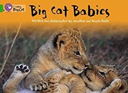 [9780007472383] BIG CAT AMERICAN - BIG CAT AMERICAN Babies Pb Green