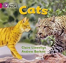 [9780007471508] BIG CAT AMERICAN - Cats Workbook  Pink B