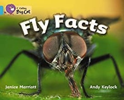 [9780007473489] BIG CAT AMERICAN - Fly Facts Pb Turquoise