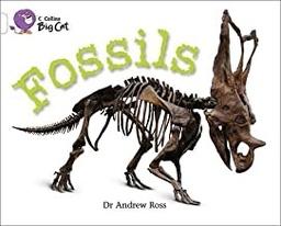 [9780007475353] BIG CAT AMERICAN - Fossils Pb White