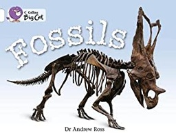 [9780007470723] BIG CAT AMERICAN - Fossils Workbook White