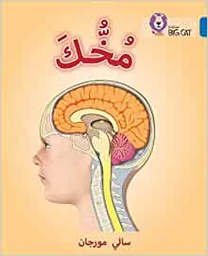 [9780008156725] Big Cat Arabic -  Your Brain Level 16
