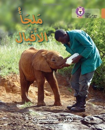 [9780008131616] Big Cat Arabic - Elephant Sanctuary